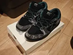 Nike SB Dunk Low Pro Thereのサムネイル