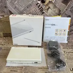 激安　動作品　ニンテンドー　DSライト