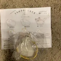 うちの子のけだまだま　犬のけだまだま　柴犬