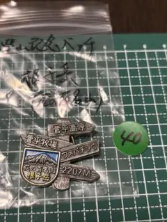 Item thumbnail for item 5dee6f47-7319-430d-9779-47eaf2830f4a