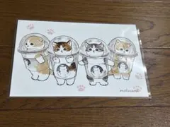 mofusand ポストカード