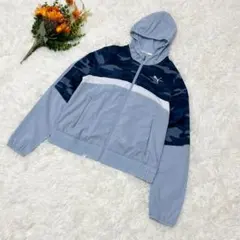 Item thumbnail for item 15c0b0f4-2cf7-4a51-8b80-882f6be78bc0