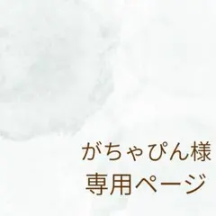 がちゃぴん様　専用ページ