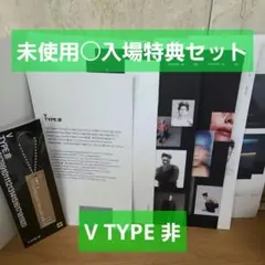 BTS V TYPE非 テテ 韓国 展示会 入場特典 キーホルダー セット