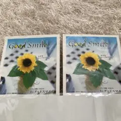 ミニひまわりの種　2セット