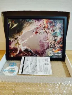 微*二様 デジモンストーリー タイムストレンジャー シリアルNo付き