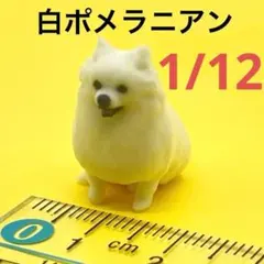 1/12 ミニチュア　ポメラニアン白　犬　フィギュア　1/64より大
