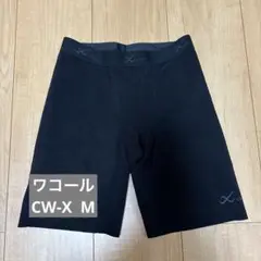 Item thumbnail for item 28948dfe-c720-484b-a3fe-852e3f22b021