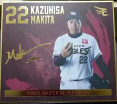 Item thumbnail for item 4941b05b-1ba7-4982-b1a4-ce0a13835192