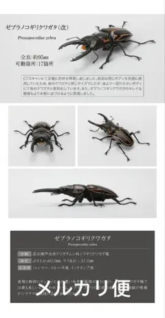 いきもの大図鑑 クワガタ07 ゼブラノコギリクワガタ改