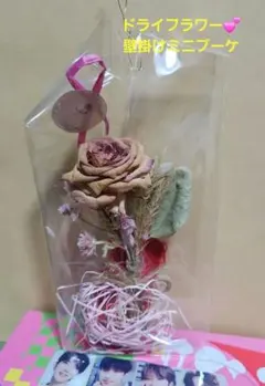 Item thumbnail for item 03793857-a4a5-40a4-9201-4765690012a5