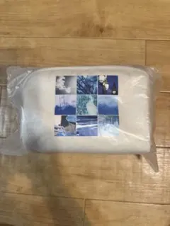 Item thumbnail for item 89fd2180-3f38-458d-aff3-9aea928d677c