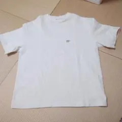 SCYE BASICS半袖美品のサムネイル
