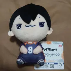 ハイキュー!! もちぴこぬいぐるみ 影山飛雄 ⑤