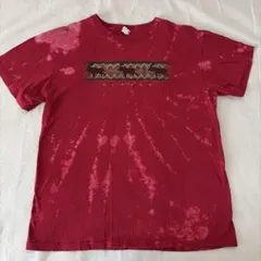 US古着 DELTA ALASKA アラスカ ムース　ヘラジカ　Tシャツ