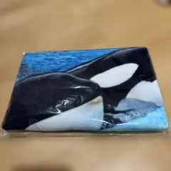 2026年最新】鴨川シーワールドの人気アイテム - メルカリ