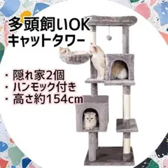 Item thumbnail for item 4d4eae48-0ea2-4645-856f-35617da5efaa