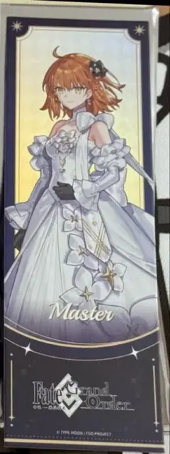 Fate FGO 中国簡体字版 10周年 藤丸立香 購入特典 チケット風カード