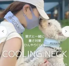 Item thumbnail for item 26fd96b8-7a51-42a7-9401-5522d03bee0a