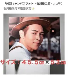 7部私服B】白川裕二郎 2ショット撮影券 純烈 大阪 - メルカリ