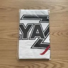 Item thumbnail for item 3dbee95d-683a-4255-9bbb-ca43259fc70d