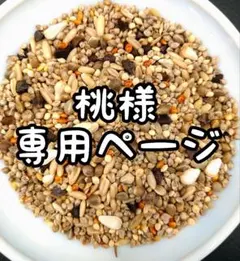 桃様専用ページ