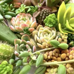 さ様 リクエスト 2点 まとめ商品