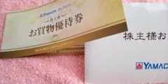 ヤマダ電機　5000円分　優待