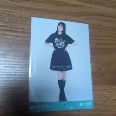 Item thumbnail for item c9636f49-b367-487b-b5e0-d3cf1ac0c612