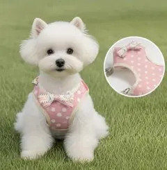 ハーネス L　（ピンク ドット）