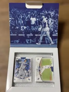 Shohei Ohtani 50/50 大谷翔平 topps 34枚 箱付