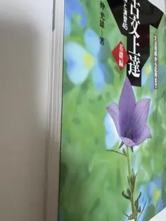 Item thumbnail for item ba1ad4a0-7ff3-408b-8a48-6d834e8c400e