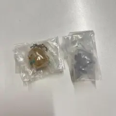 ポケピース　めじるしアクセサリー　２点セット