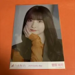 乃木坂46 菅原咲月 2025 Lucky Bag カレンダー衣装 ヨリ