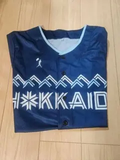 【新品未使用】WE LOVE HOKKAIDO 配布 ユニフォーム