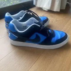 Nike デルタフォース　SB スニーカー