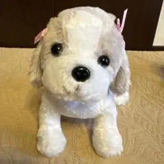 2025年最新】シーズー ぬいぐるみの人気アイテム - メルカリ