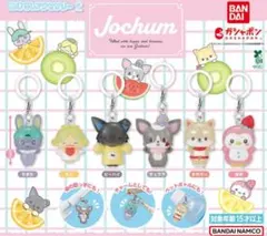 BANDAI Jochum カプセルトイ　ジェオチャム　めじるしアクセサリー
