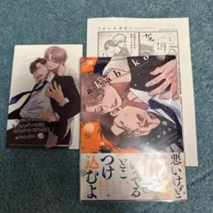 フォールダウン　akabeko先生　ペーパー付