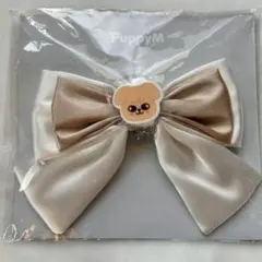 スキズ　straykids ペンライトリボン　パピーム