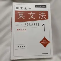 大学入試問題集 関正生の英文法ポラリス[1 標準レベル]