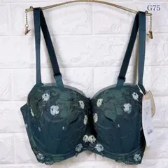 トリンプ　レッドレーベル0104 ブラジャー　G75