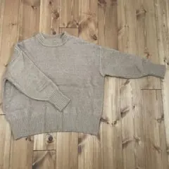 ZARA ニットセーター 長袖 ベージュ EUR 5
