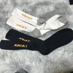 Item thumbnail for item f5fa07fd-2543-4973-9f25-16ef4ffe7361