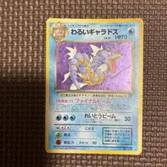 2026年最新】わるいギャラドスの人気アイテム - メルカリ