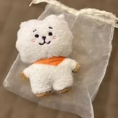 BT21＊RJぬいぐるみ