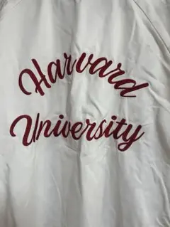 Harvard University スタジャン デカロゴ