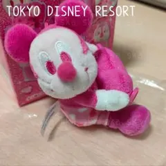 ミニーファンダーランド◇パルパルーザ◇ミッキー◇