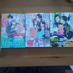 マーマレード文庫１０月　３冊セット