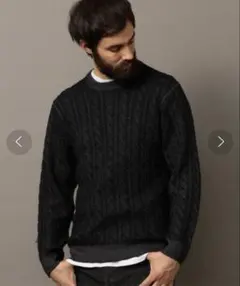 BEAUTY&YOUTH UNITED ARROWS ケーブル編みニット